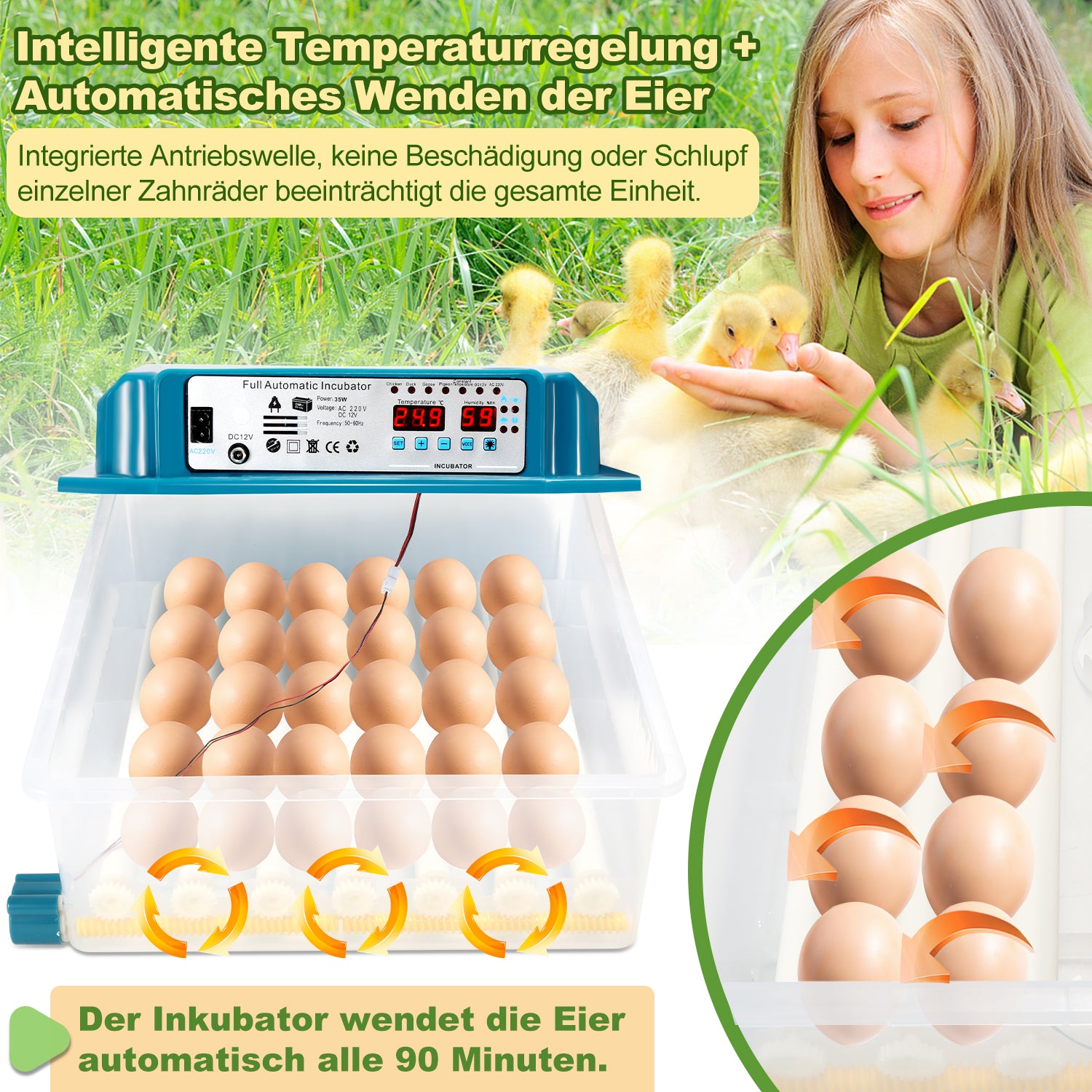 36 Eier Brutmaschine Vollautomatisch