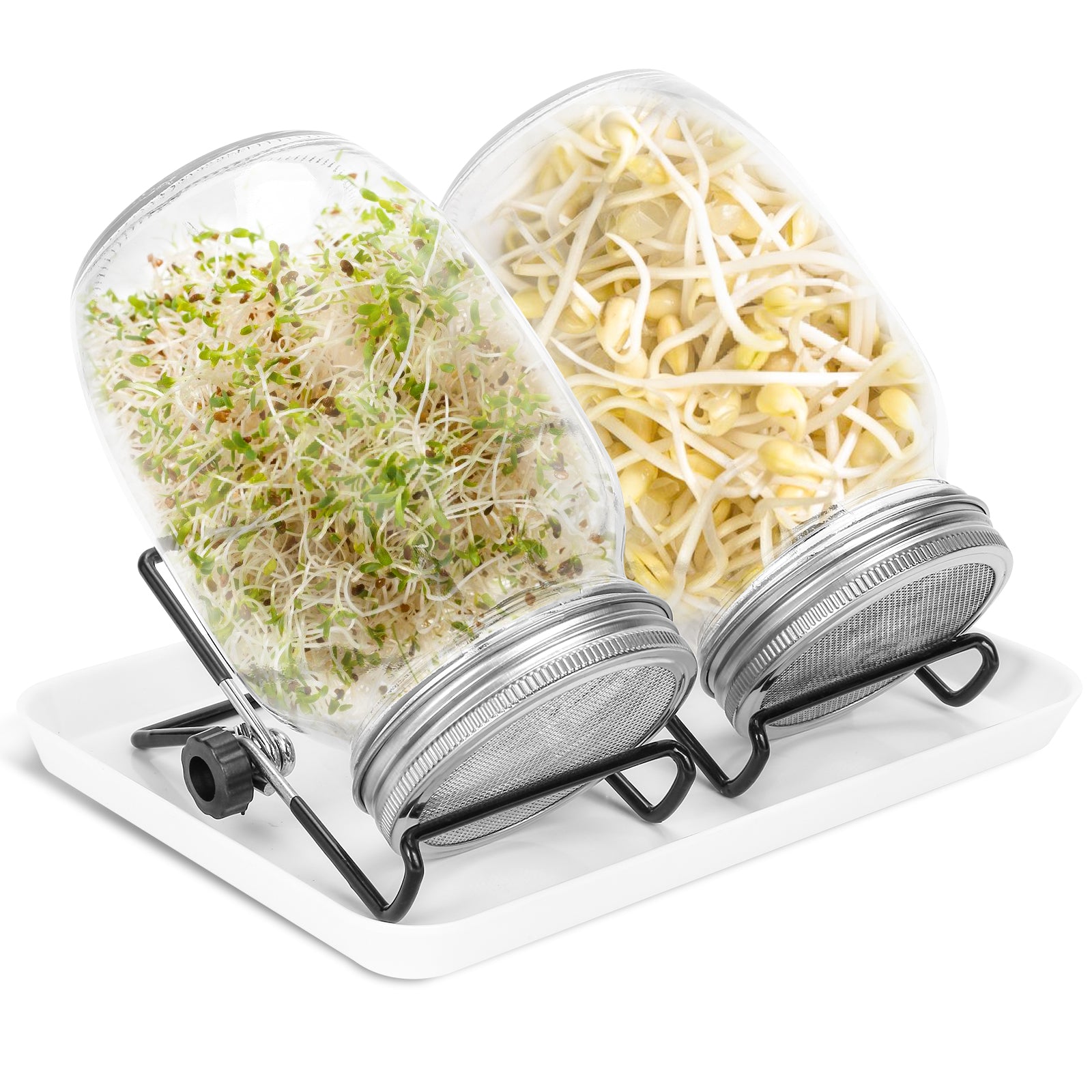 SWANEW Sprossenglas Keimglas, 2er Set Sprossenglas mit Deckel & Sieb, 950ML Kapazität 2 Einstellbare Halterung 1 Weiß Drip Tray, Sprossen Keimgerät