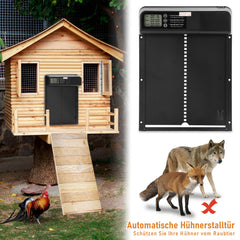 SWANEW Automatische Hühnerklappe mit Timer/Manuell/Anti-Tamper Modus, elektrische Hühnerklappe, LED Display, Intelligenter Einklemmschutz Automatisch Hühnertür, Türöffner für Hühnerstall