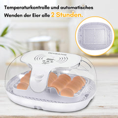 Brutautomat Vollautomatisch Inkubator für 16 Hühnereier