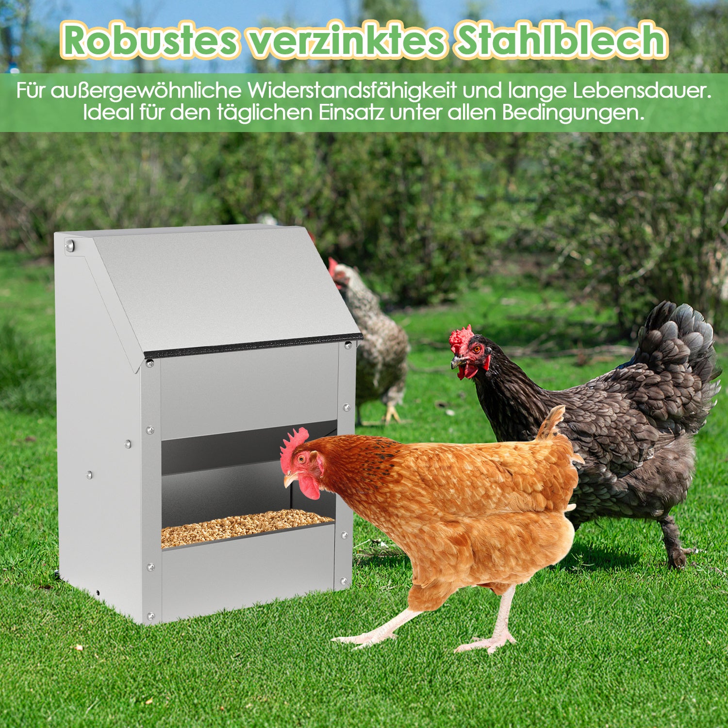 Hühnerfutterautomat mit Deckel & Wandhalterung