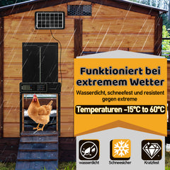 SWANEW Automatische Hühnerklappe Solar Haustierklappe Hühnerstalltür 33x24.5cm