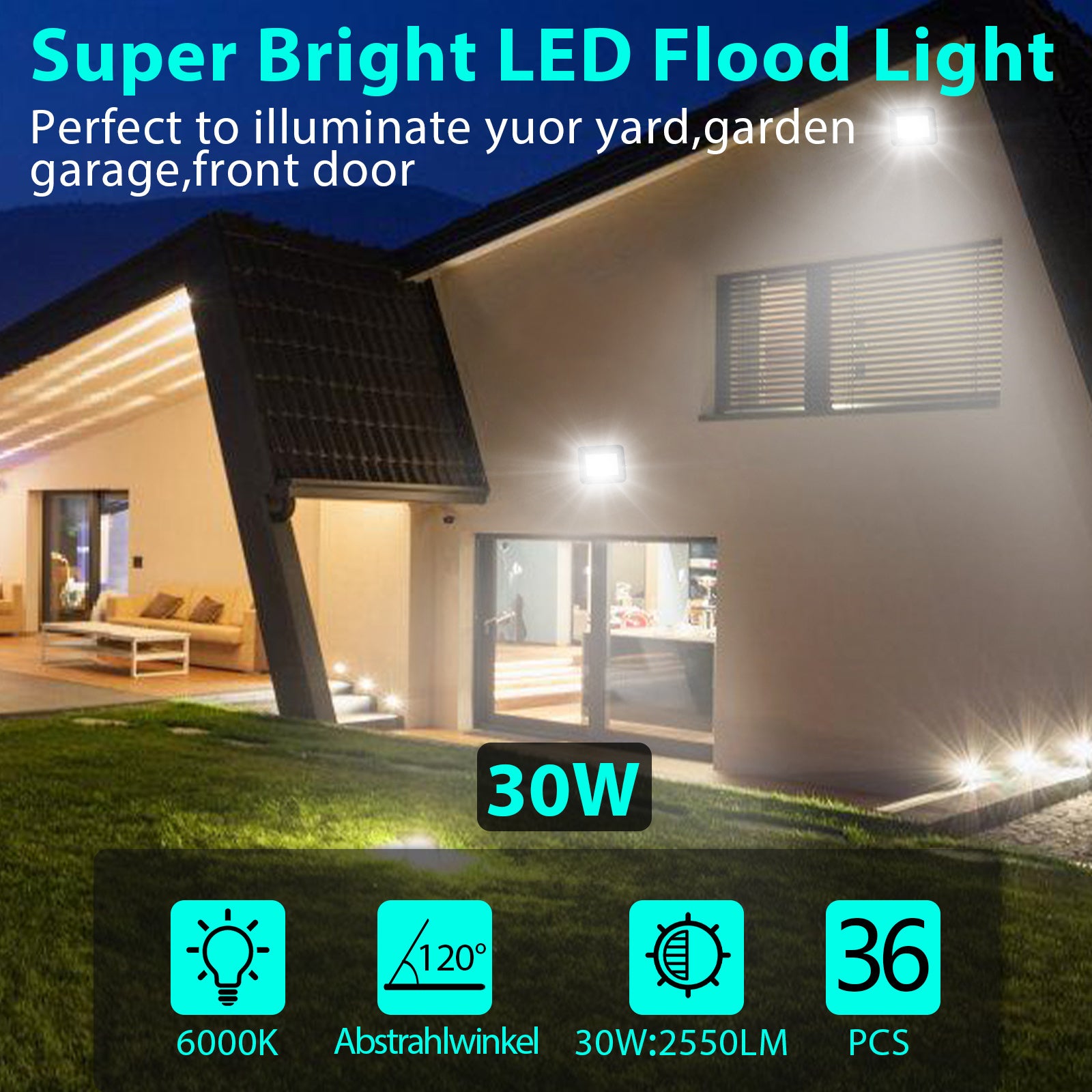 SWANEW LED Strahler, 20/30/50/100W LED Fluter, Warmweiß/Kaltweiß Außenstrahler, IP66 Scheinwerfer (kein Stecker)