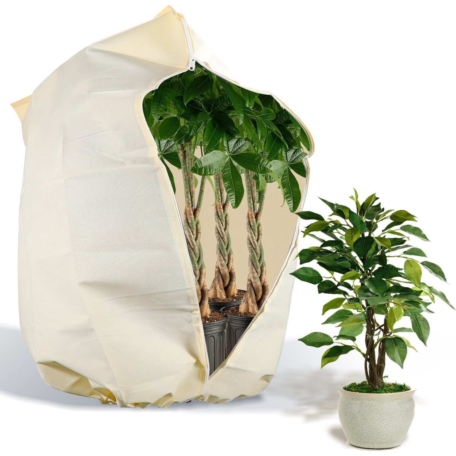 SWANEW Winterschutz für Pflanzen 100g/㎡, mit Reißverschluss & Kordelzug, Frostschutz für Kübelpflanzen Überwinterung und Obstbaum