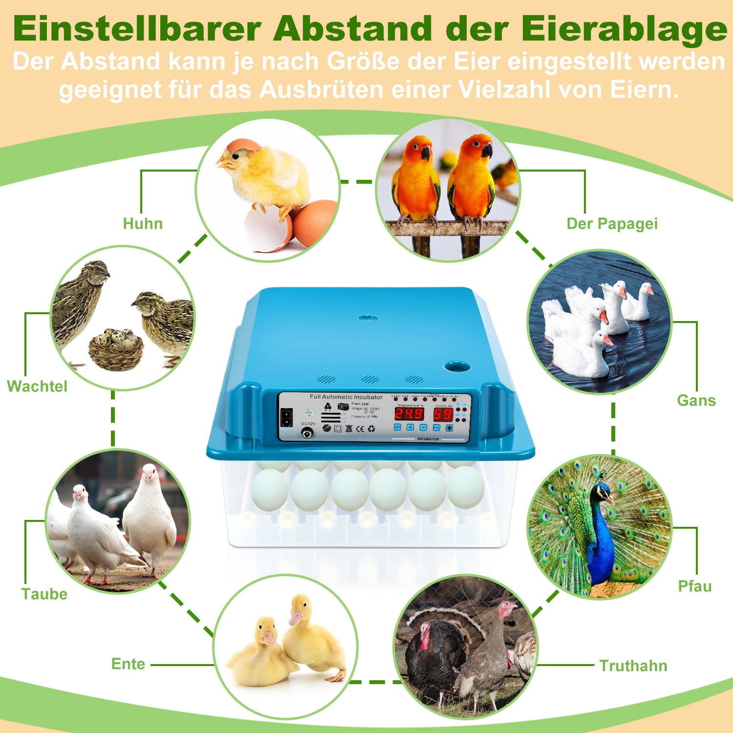 36 Eier Brutmaschine Vollautomatisch
