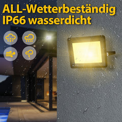 SWANEW LED Strahler, 20/30/50/100W LED Fluter, Warmweiß/Kaltweiß Außenstrahler, IP66 Scheinwerfer (kein Stecker)