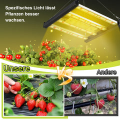 SWANEW 150W Pflanzenlampe, LED Vollspektrum Grow Lampe, Grow Light Dimmbare, Wachstumslampe