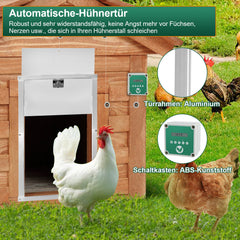 SWANEW Hühnerklappe Automatische Hühnertür Mit Fernsteuerung, für sichere Hühnerhaltung, Multi-Modi-hühnerklappe, 30x60cm