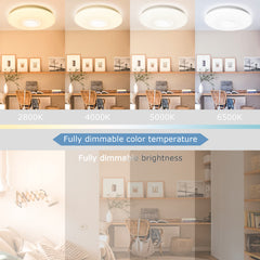 SWANEW 36W LED Deckenleuchte bluetooth Lautsprecher Fernbedienung und APP-Steuerung Sternenhimmel Lampe [Energieklasse G]