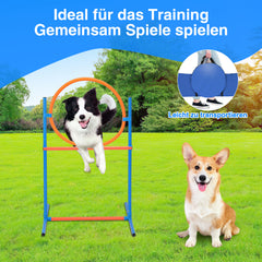 SWANEW Agility Set Hunde groß, 5-teiliges Set Hundetraining zubehör Agility Hürde, Slalom, Agility Hürde, Sprungring & Hundetunnel